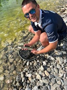 Rainbow Trout