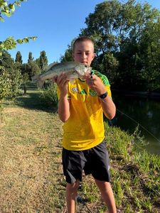 Largemouth Bass