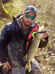Northern Pike