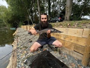 Sturgeon