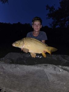 Mirror Carp