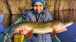Northern Pike