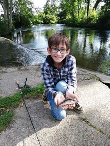 European Perch