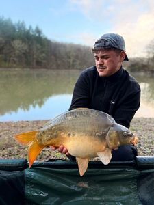 Leather Carp