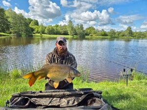 Common Carp
