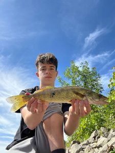 Walleye