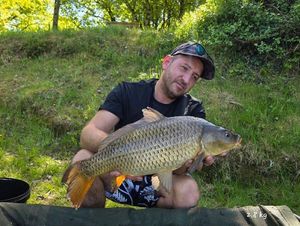 Common Carp
