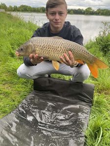 Mirror Carp
