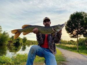 Northern Pike