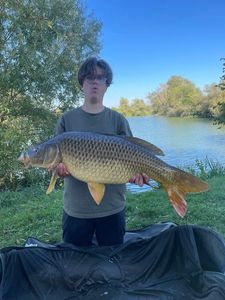 Common Carp