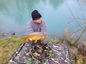 Mirror Carp