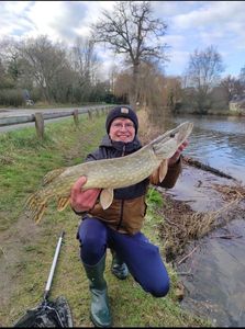 Northern Pike