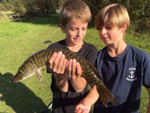Northern Pike