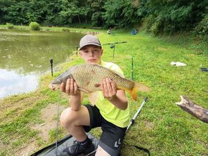 Common Carp