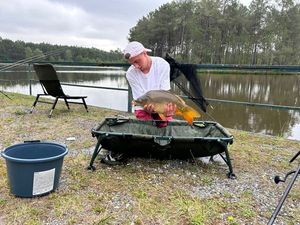 Mirror Carp