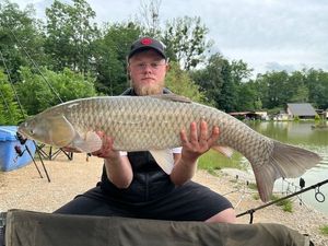 Grass Carp