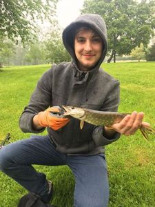 Northern Pike