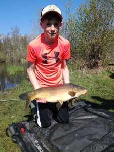 Common Carp