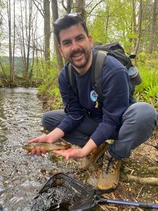 Brown Trout