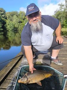 Mirror Carp
