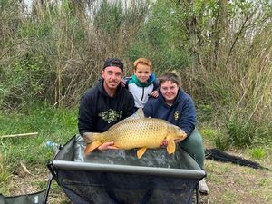 Common Carp
