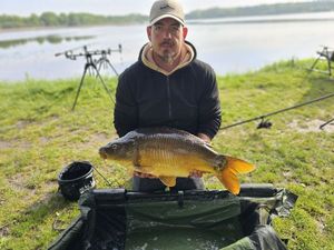 Mirror Carp