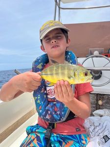 Crevalle Jack