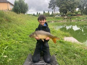 Mirror Carp