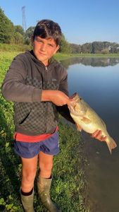 Smallmouth Bass