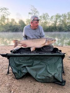 Grass Carp