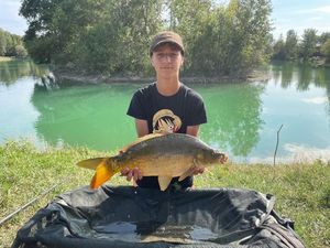 Mirror Carp