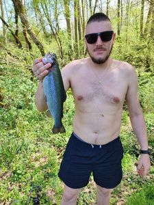 Rainbow Trout