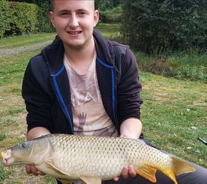 Common Carp
