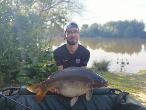 Mirror Carp