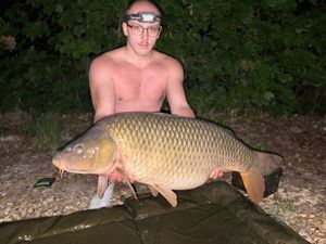 Sturgeon