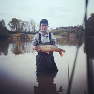 Common Carp
