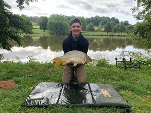 Common Carp
