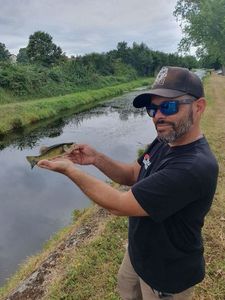 Largemouth Bass