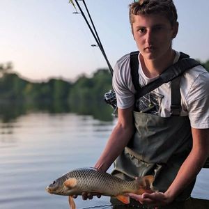 Common Carp