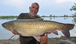 Grass Carp