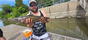 Channel Catfish