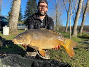 Mirror Carp