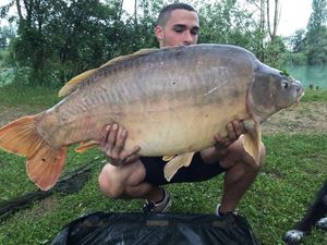 Leather Carp
