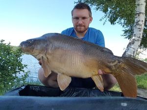 Mirror Carp