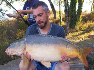 Mirror Carp