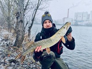 Northern Pike
