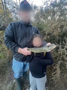 Northern Pike