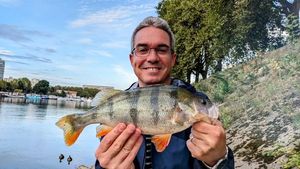 European Perch