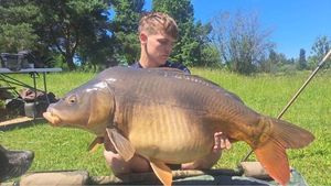 Mirror Carp