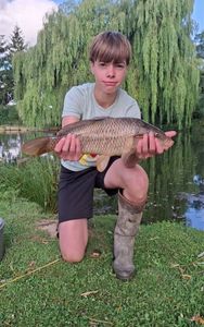 Common Carp